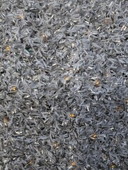 Silver Christmas tinsel with reflective strands creating a sparkling festive texture. Suitable for holiday backgrounds.