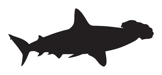 Black hammerhead shark silhouette illustration showing the distinctive profile of the marine predator with its unique head shape, fins, and powerful tail in a simple graphic style