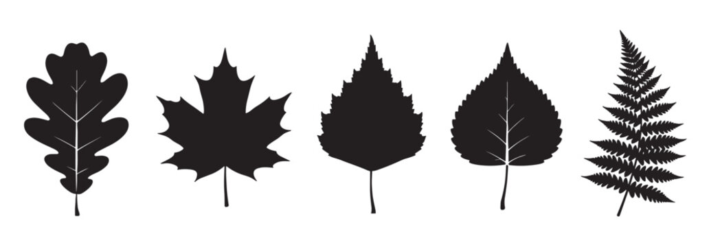 Collection of five black leaf silhouettes including oak, maple, birch, and a fern frond, presented in a clean, graphic vector illustration style for botanical or nature themes