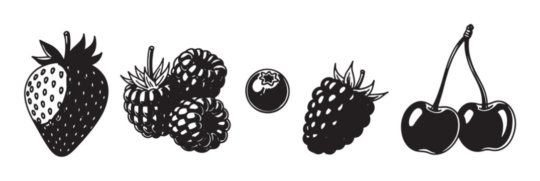 Woodcut Raspberry Imágenes de Xilografía: descubre bancos de fotos, ilustraciones ...