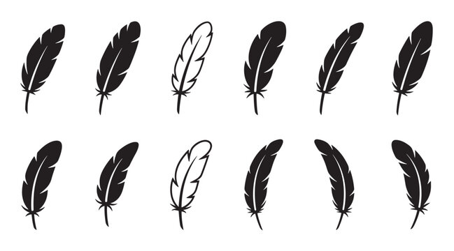 Black bird feather icons in a collection of twelve different minimalist silhouettes and simple line art styles arranged in two neat rows for graphic design