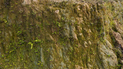 Drone view of rock formations and moss texture in quarry. Nature and environment texture from above