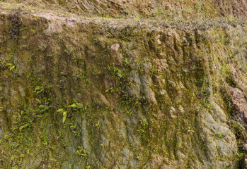 Drone view of rock formations and moss texture in quarry. Nature and environment texture from above