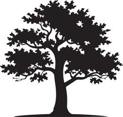 Silhouette of a large deciduous tree with full foliage against a white background