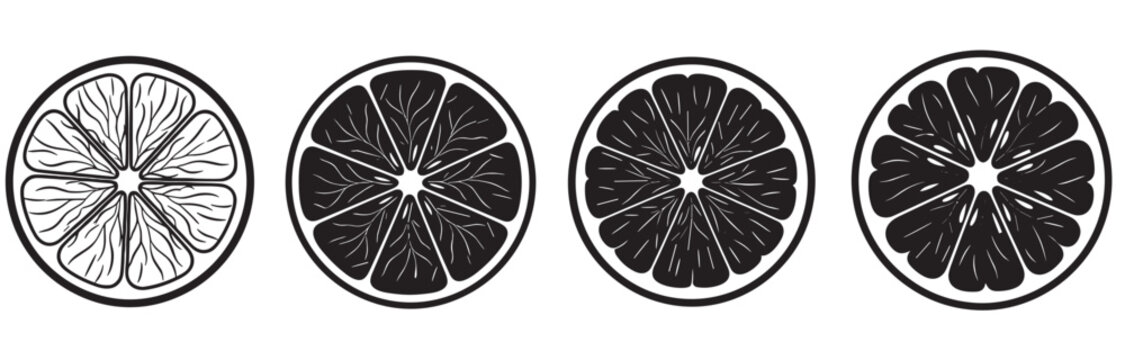 Four black and white citrus fruit slices arranged in a row, a graphic illustration set with minimalist line art and silhouette styles showing the detailed pulp and segments