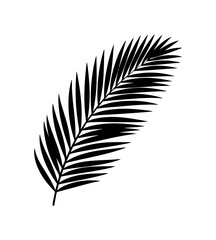 Obraz premium Exotic palm frond silhouette for tropical designs and summer themes