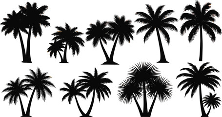 Palm tree black silhouettes border, frame. Monochrome hand drawn vector illustration isolated on transparent background.