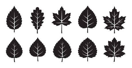 Collection of black leaf silhouettes in various shapes, including maple and oak, presented as a graphic icon set for nature, botanical, and seasonal design concepts