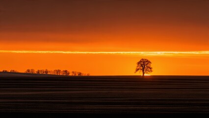 Dramatic Orange Sunset or Sunrise Over Rural Landscape with Solitary Silhouetted Tree and Cultivated Field