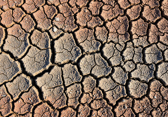 An abstract top-down perspective of parched earth, showcasing an intricate network of deep cracks creating a natural mosaic texture