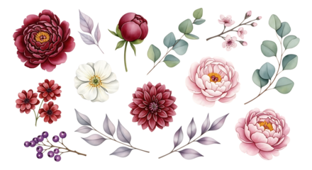 Elegant collection of watercolor floral elements featuring peonies roses eucalyptus and berries on a black background