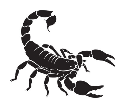 Black scorpion silhouette illustration in an aggressive pose with its tail curved and pincers open, representing danger, power, and the Scorpio zodiac sign in a graphic style