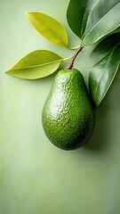 Avocado displayed on an elegant podium, showcasing its smooth skin and vibrant green color.
