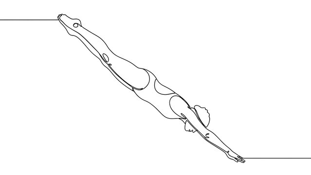 One line art continuous line art drawing of a female swimmer diving into water at an angle, isolated on white background