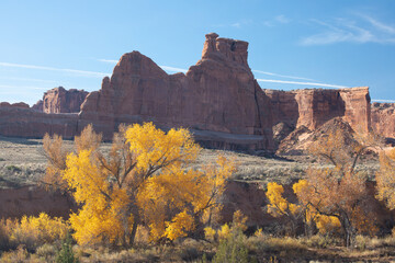 The main asphalt road runs through Arches National Park in eastern Utah, north of the city of Moab in the United States. It winds between rocks and trees colored yellow. Autumn time, sunny day.