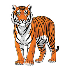 Tiger vector illustration standing on white background full body drawing