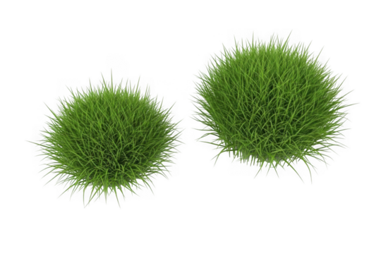 Isolated two spherical green grass clumps, easy to use graphic. isolated on transparent background