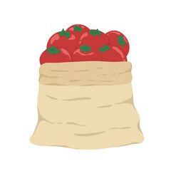 tomato. vegetable. red. sack. red tomato.