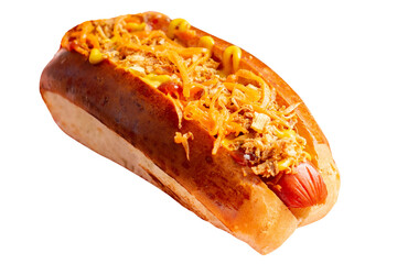 Hot Dog with onion crispy