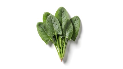 Fresh, vibrant green spinach leaves isolated on a clean white background, showcasing their natural beauty and healthy essence
