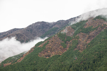 Mountain landscape with fog and mixed forest in autumn season