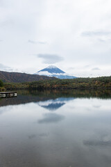 Saiko Lake, Saiko, Fujikawaguchiko, Minamitsuru District, Yamanashi, Japan Snow capped Fuji mountain reflected in calm lake with forest landscape
