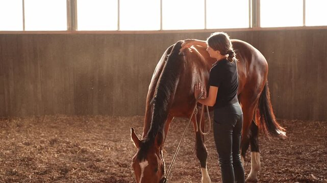 Female groom gently brushes horse's mane in warm light of arena. Owner's gentle, tactile care reinforces horse's comfort and trust in its owner. Horse care concept