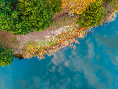 Top down drone view of a lakeside path and bench in autumn - Powered by Adobe