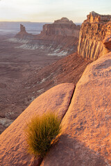 Green River Overlook on Island in the Sky Mesa in Canyonlands National Park is located at an elevation of 6,000 feet. Near the town of Moab, Utah.