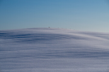 The texture of blue ripples on a snowy field created by wind and light
