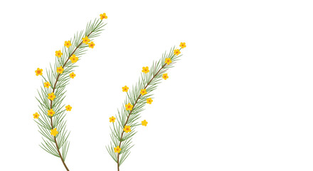 Two delicate watercolor branches with green needles and small yellow flowers providing an elegant and natural botanical element.