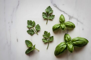 Fresh green basil and parsley leaves on white marble surface