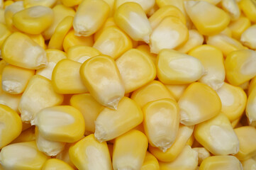 Raw corn kernels for cooking