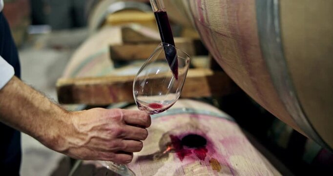 Hands, barrel and red wine in glass in cellar for taste testing, quality control and evaluation process. Sommelier, person and drawing alcohol with siphon in storage for experience, flavor or enology