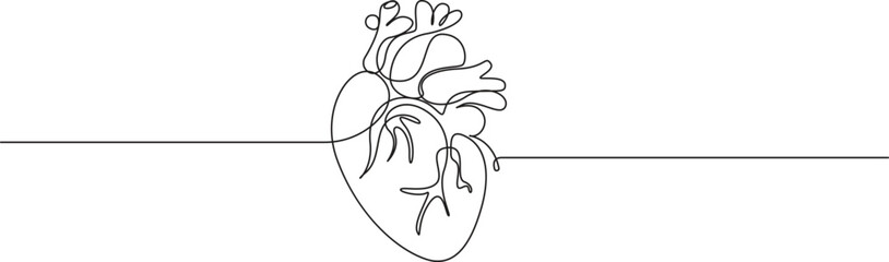 Anatomical heart with heartbeat line art illustration on white background,one line art drawing human heart vector illustration,Continuous Line Art of Human Heart with Electrocardiogram Pulse