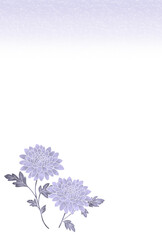 喪中はがき〈キク〉　A-3