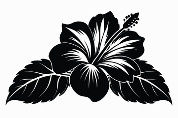 hibiscus black and white silhouette on white background
