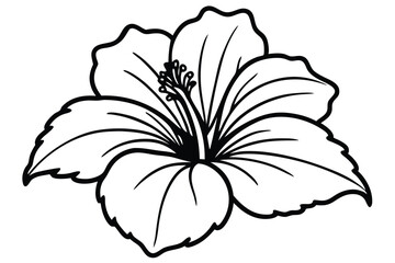 Fototapeta premium hibiscus black and white line art on white background