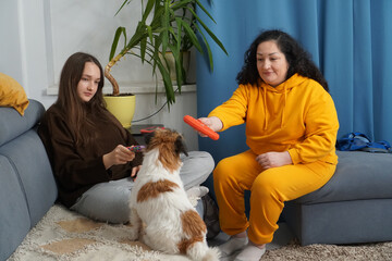 Family playing with their small fluffy dog on a couch in the living room