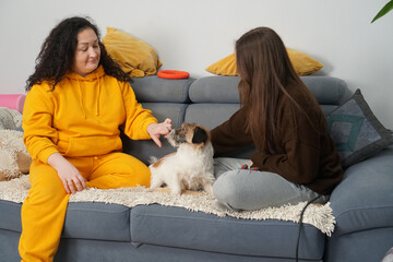 Two women and their cute dog relaxing on a sofa in a cozy living room