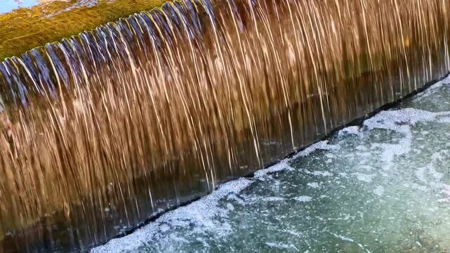Water flows smoothly over rocks, sparkling under sunlight as it tumbles into a clear pool below. Bubbles form and create a tranquil atmosphere near the riverbank.