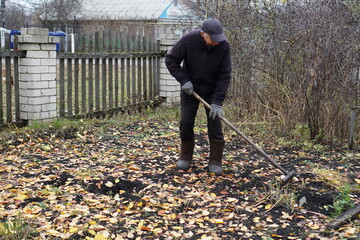 Elderly man doing seasonal yard work with a rake in an autumn garden.