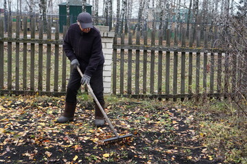 Senior man raking fallen autumn leaves in a rural garden