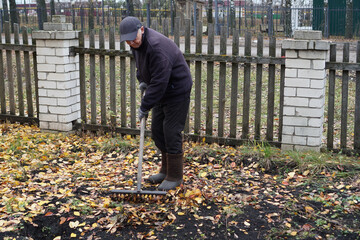 Senior person raking colorful autumn leaves in a garden. Elderly individual doing seasonal yard work and cleaning.