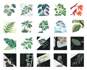 Large Botanical Illustration and Icon Collection: Nature Plants, Leaves, and Tropical Foliage Set