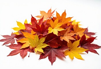 A Vibrant Collection of Autumn Leaves in Shades of Red, Yellow, and Orange