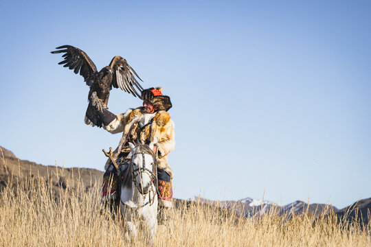 Traditional Mongolian eagle hunter of Kazakh ethnicity, with his eagle