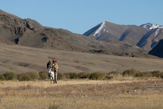 Traditional Mongolian eagle hunter of Kazakh ethnicity, with his eagle