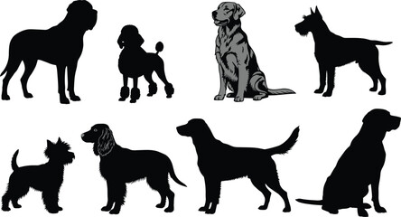 Silhouette set of dog breed icons featuring eight distinct poses and profiles for pet, animal, and veterinary-themed designs