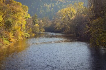 Autumn landscape with river and setting sun. Concept for nature and autumn time
